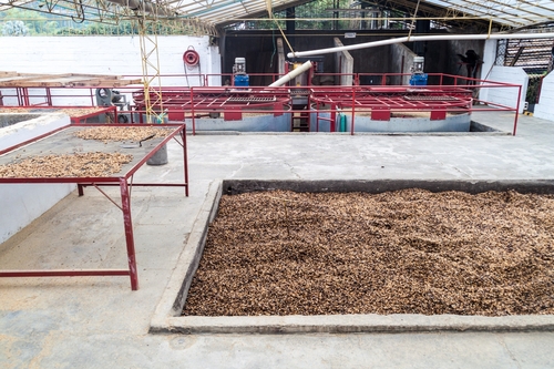 Manizales,,Colombia,-,September,6,,2105:,Coffee,Drying,Facility,At