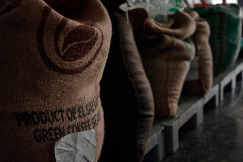 Coffee,Warehouse.,Close,Up,Of,Bags,Full,Of,Coffee,At